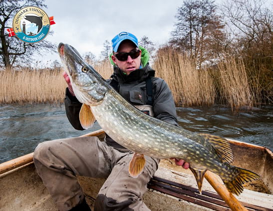 Pike fishing at our lodge. Fly fishing and spin fishing for danish pikes!