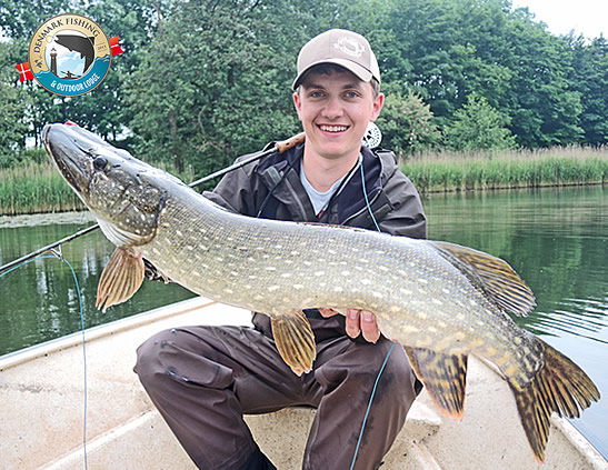 Pike fishing at our lodge. Fly fishing and spin fishing for danish pikes!